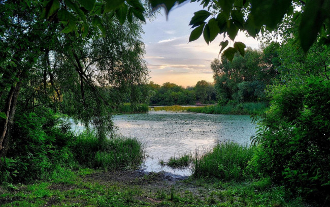Обои картинки фото природа, реки, озера, заводь, закат, украина, киев, днепр