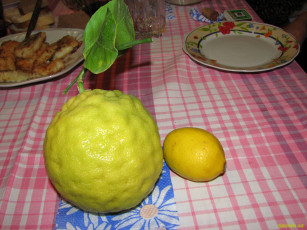 Картинка мой лимон 65 кг еда цитрусы