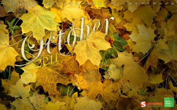 Картинка календари природа желтый кленовые листья осень
