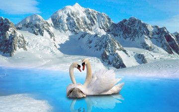 Картинка разное компьютерный дизайн лебеди снег