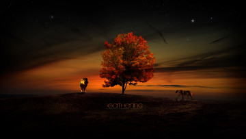 Картинка 3д графика nature landscape природа закат львы дерево