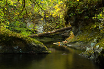 Картинка природа реки озера речка скалы деревья