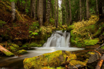 Картинка природа водопады лес речка камни водопад деревья осень