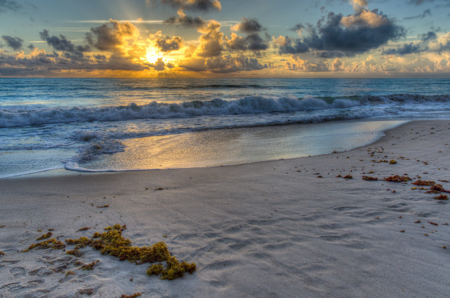 Обои картинки фото природа, восходы, закаты, океан, берег, пейзаж
