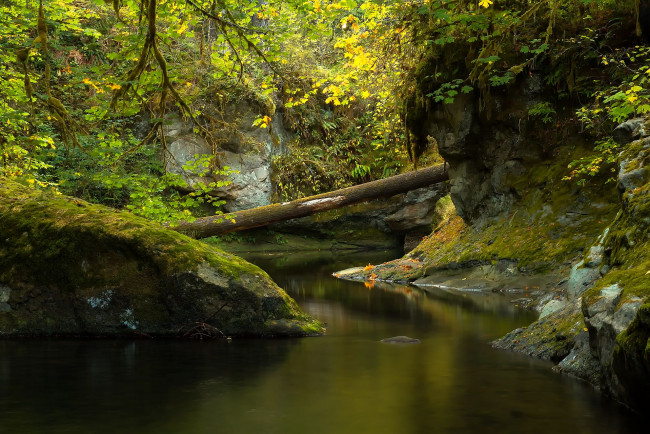 Обои картинки фото природа, реки, озера, речка, скалы, деревья