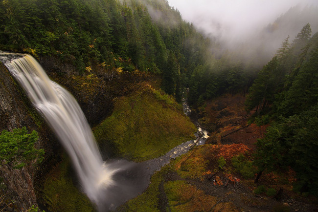 Обои картинки фото природа, водопады, водопад, лес, деревья, туман