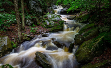 Картинка природа водопады камни зелень поток вода река