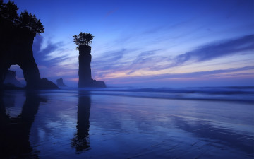 Картинка природа побережье деревья море арка скалы берег рассвет облака