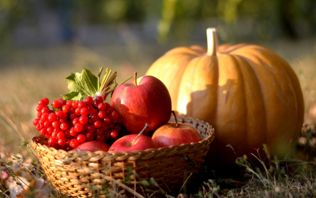 Обои картинки фото еда, фрукты и овощи вместе, тыква, осень, калина, ягоды