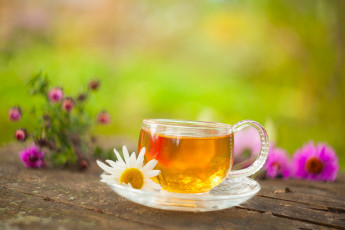 Картинка еда напитки +Чай напиток чай зеленый цветы