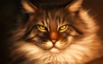 Картинка рисованное животные +коты взгляд
