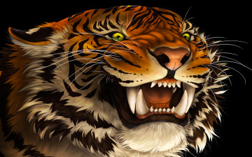 Картинка рисованное животные +тигры взгляд