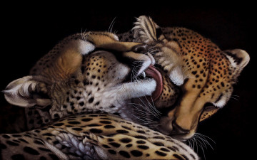 Картинка рисованное животные +ягуары +леопарды взгляд