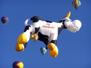 обоя local, dairy, balloon, авиация, воздушные, шары