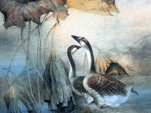 Картинка рисованные животные птицы гуси