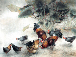 Картинка рисованные животные птицы курицы петухи цыплята