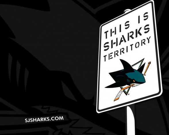 Обои картинки фото sharks, territory, спорт, эмблемы, клубов