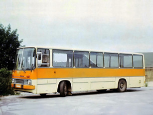 Картинка 260 автомобили автобусы