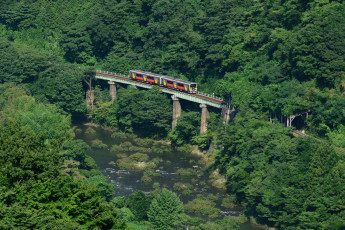 Картинка техника вагоны лес мост река