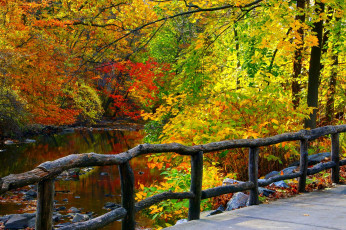 Картинка природа реки озера лес colorful leaves деревья осень листья walk colors fall autumn forest trees park water river nature вода река горы парк