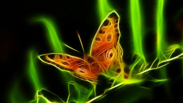 Картинка 3д+графика животные+ animals фон веточка бабочка