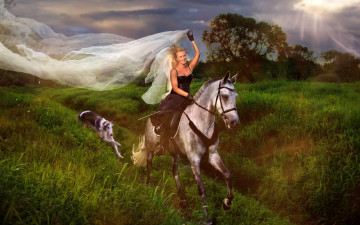 Картинка девушки -unsort+ блондинки наездница лошадь собака вуаль гончая девушка