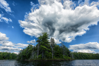 Картинка природа реки озера облака небо лес деревья