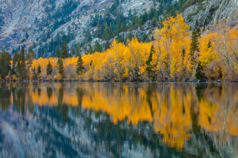 Картинка природа реки озера осень озеро деревья склон
