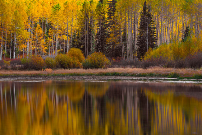 Обои картинки фото природа, реки, озера, лес, отражение, озеро, осень