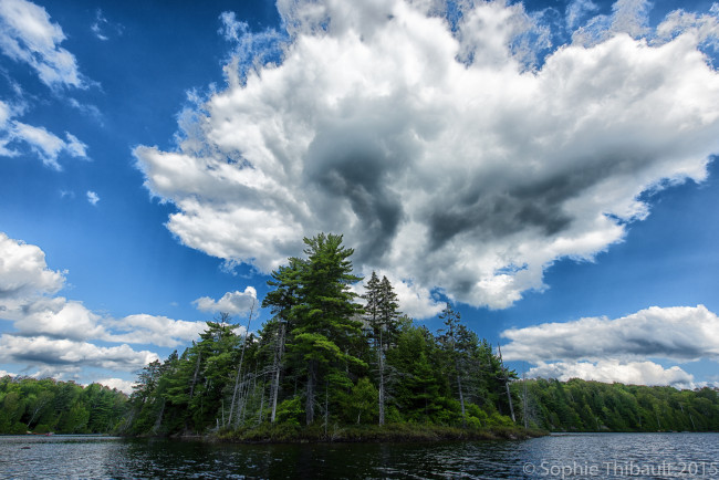 Обои картинки фото природа, реки, озера, облака, небо, лес, деревья