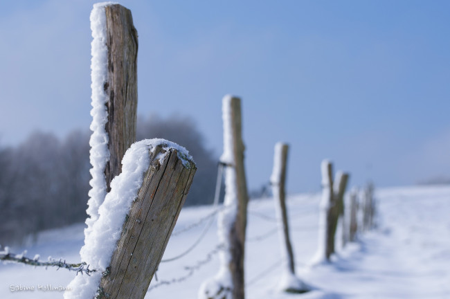 Обои картинки фото природа, зима, столб, забор, ограда, снег, проволока, макро