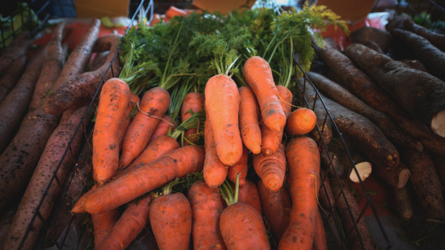 Обои картинки фото еда, морковь, снедь