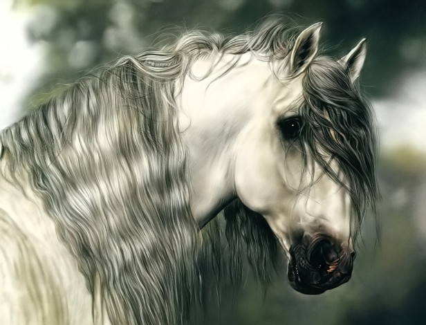 Обои картинки фото рисованное, lesley harrison, лошадь, голова