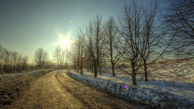 Обои картинки фото природа, дороги, зима, снег, дорога, грязь, деревья, солнце