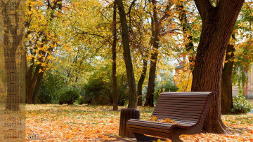 обоя календари, природа, листва, урна, скамейка, осень, деревья, 2018