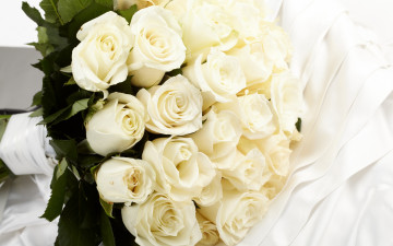 Картинка цветы розы flowers белые roses букет white