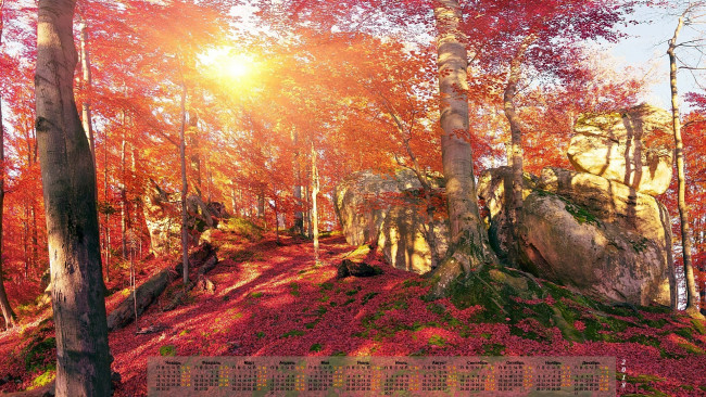 Обои картинки фото календари, природа, растения, камни, деревья, 2018