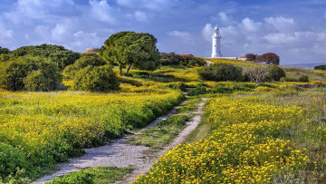 Картинка природа маяки луг маяк дорога