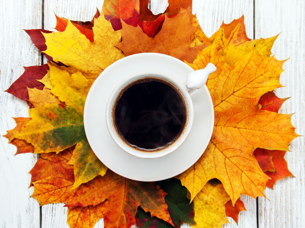 Обои картинки фото еда, кофе,  кофейные зёрна, листья, осень