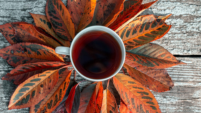 Обои картинки фото еда, напитки,  чай, чай, осень, листья