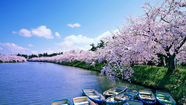 Обои картинки фото корабли, лодки,  шлюпки, парк, река, весна