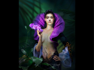 Картинка орхидея v2 фэнтези девушки