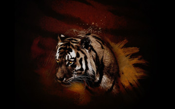 Картинка рисованные животные тигры тигр зверь хищник