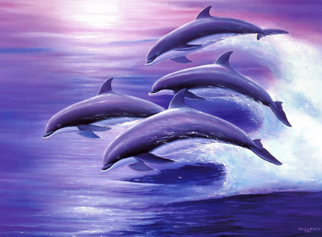 Обои картинки фото рисованные, животные, рыбы, путешественники, океана, дельфины, robert, wyland