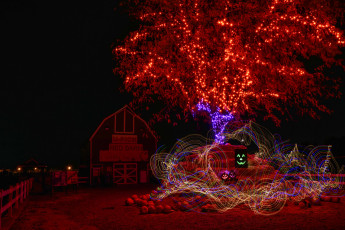 Картинка праздничные хэллоуин праздник ночь хеллоуин тыквы иллюминация