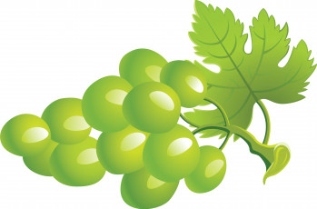Картинка векторная+графика еда+ food гроздь виноград