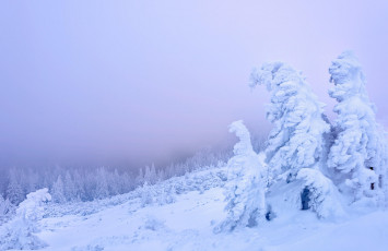 Картинка природа горы деревья Чахлэу зима румыния