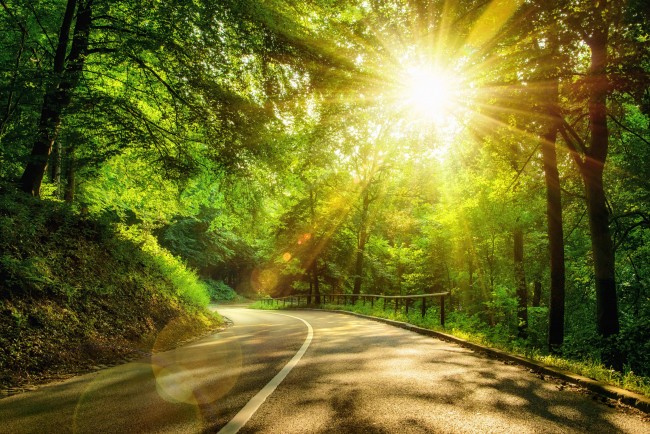 Обои картинки фото природа, дороги, солнце, солнечные, лучи, деревья, дорога, лес