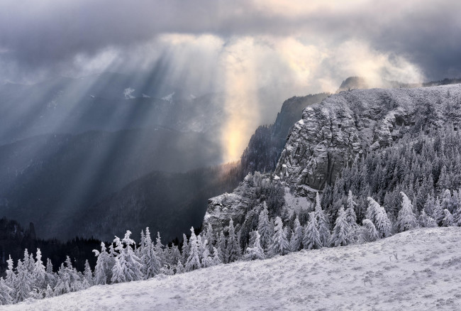Обои картинки фото природа, горы, деревья, зима, румыния, Чахлэу