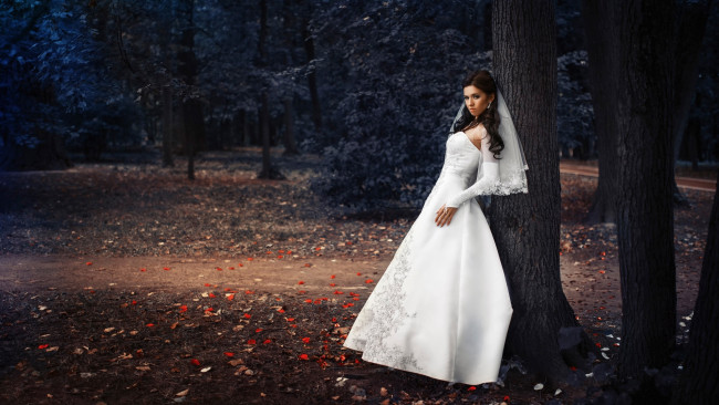 Обои картинки фото девушки, - невесты, лес, деревья, листья, фата, брюнетка, невеста